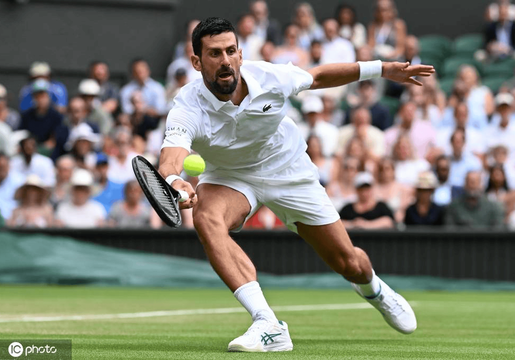 年终总决赛逆转温网，德约科维奇扛起全队