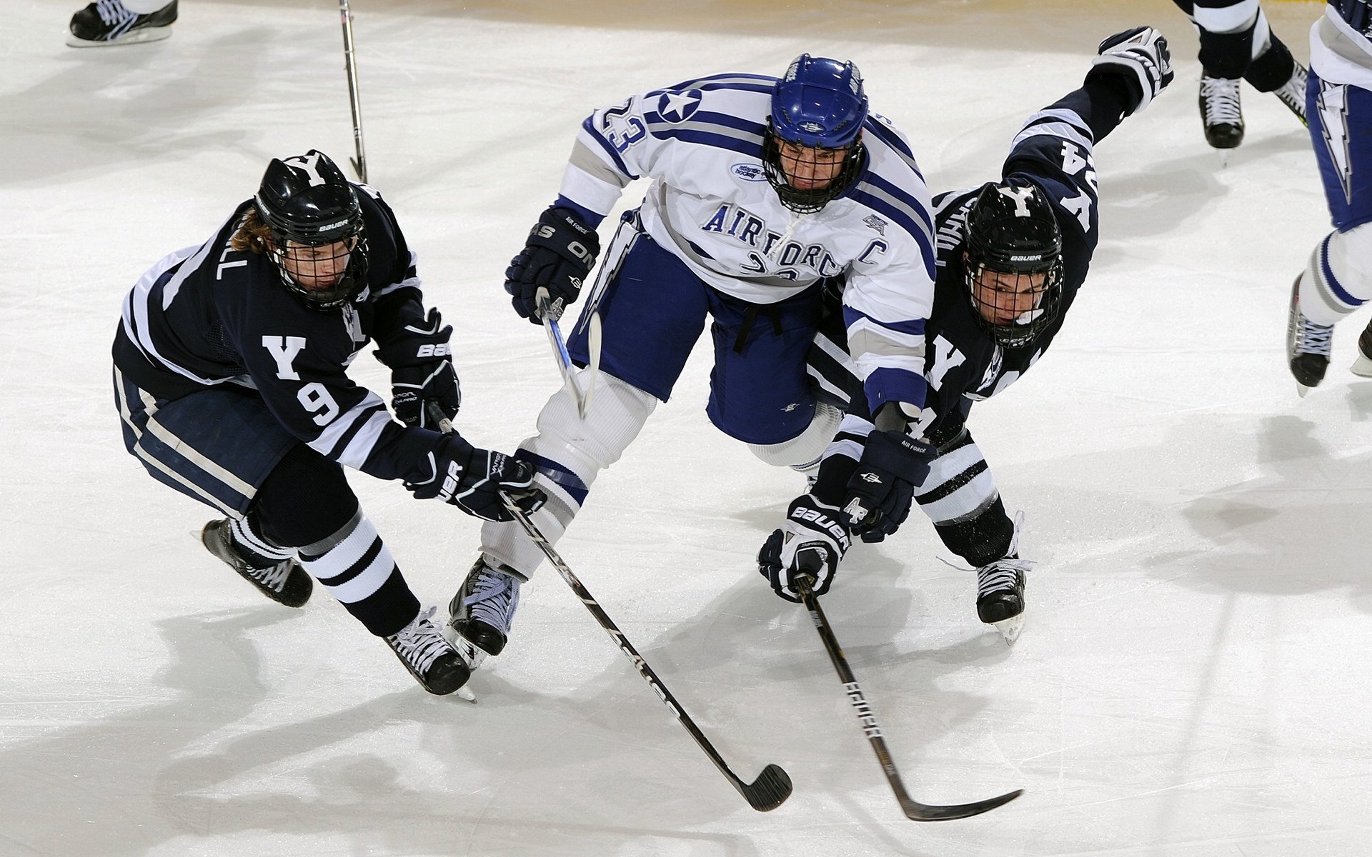 福克斯的利爪，当公牛在勇士的荆棘丛中杀出血路